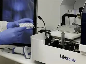 Picture of Lifescale Picture of Lifescale