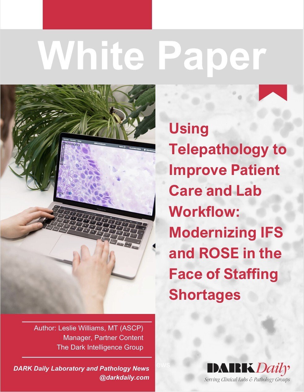 WP Image - Cover Page